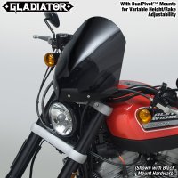 Pantalla Harley XR 1200 [n2707]