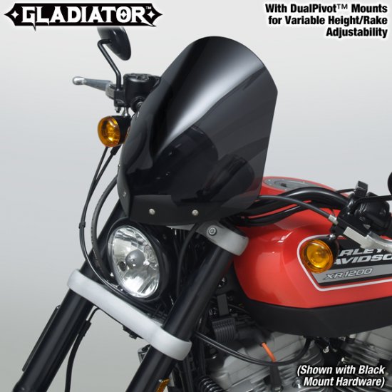 Pantalla Harley XR 1200 - Haga click a la imagen para cerrar